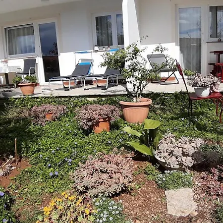 Apartments Summer Bloom Krk Town Exterior foto