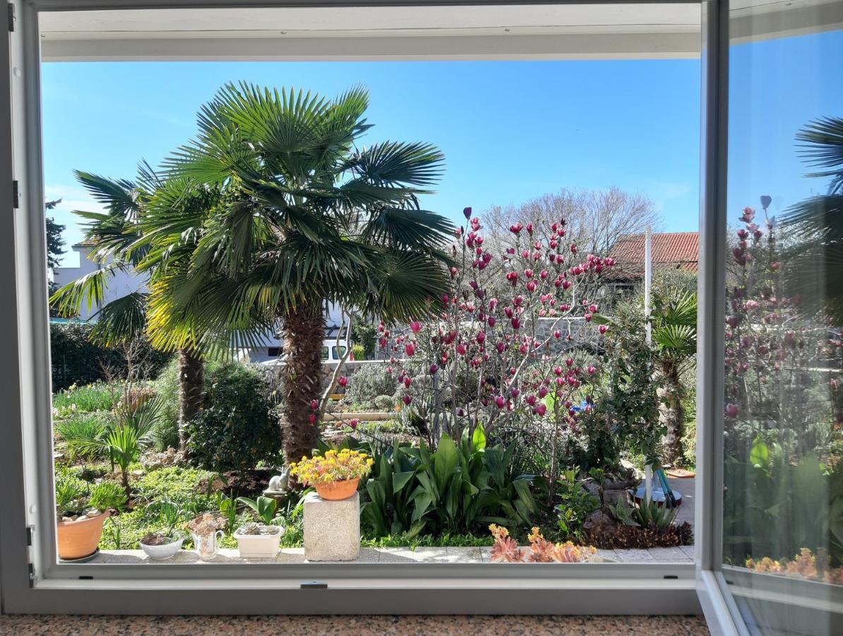 Summer Bloom Apartman Krk Town