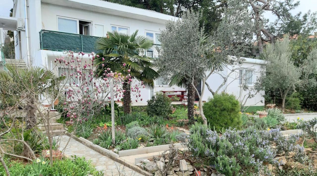 Summer Bloom Krk Town