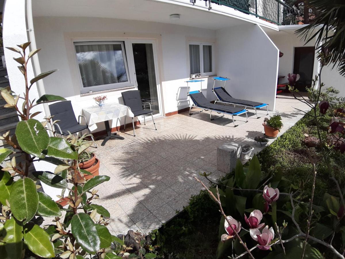Summer Bloom Apartment