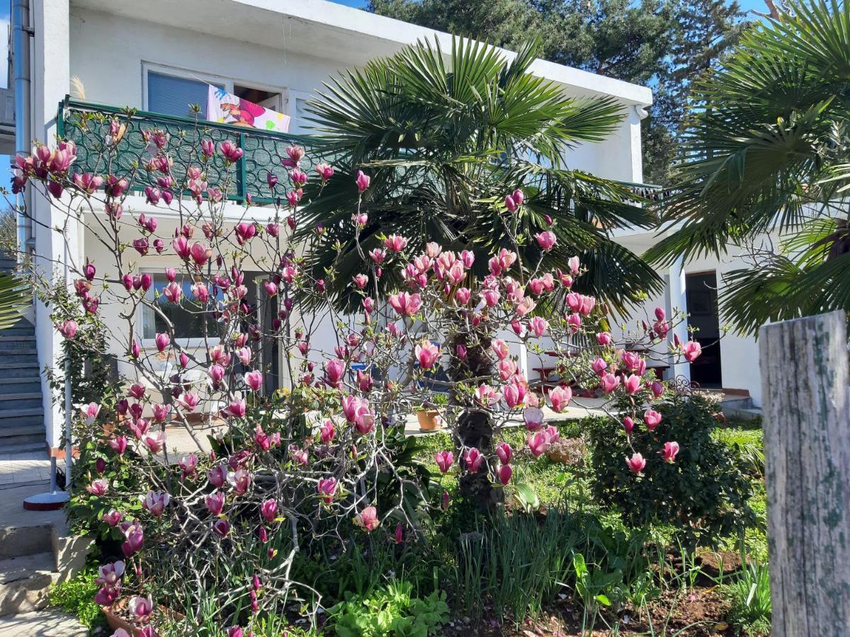 Apartment Summer Bloom Krk Town